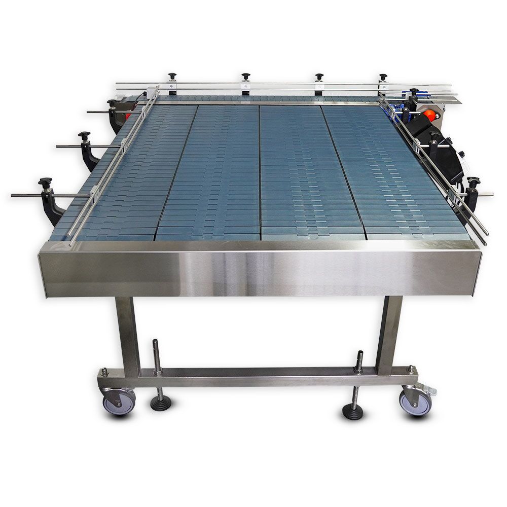 Infeed Conveyor - Image 3